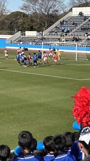 IMG_8198.jpeg