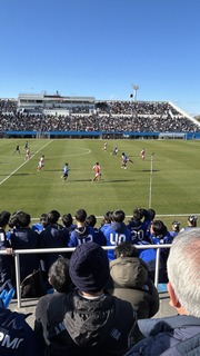 IMG_8202.jpeg