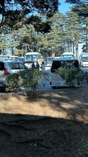 IMG_8209.jpeg
