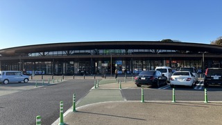 IMG_8212.jpeg