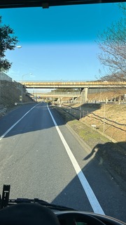 IMG_8217.jpeg