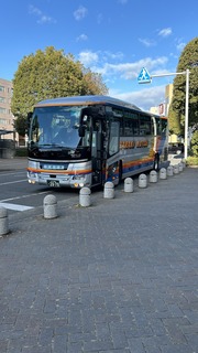 IMG_8222.jpeg