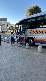 IMG_8225.jpeg