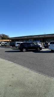 IMG_8231.jpeg