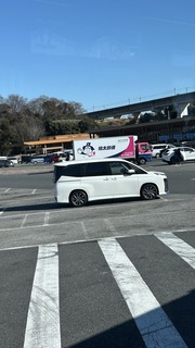 IMG_8237.jpeg