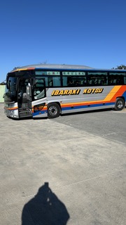 IMG_8239.jpeg