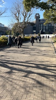IMG_8244.jpeg