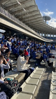 IMG_8255.jpeg