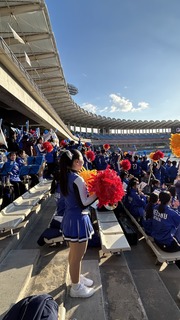 IMG_8272.jpeg
