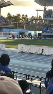 IMG_8286.jpeg