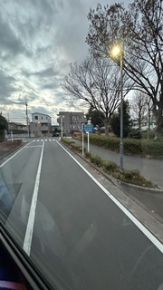 IMG_8313.jpeg