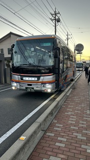 IMG_8326.jpeg