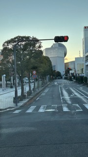 IMG_8333.jpeg
