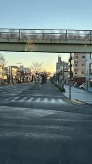 IMG_8334.jpeg