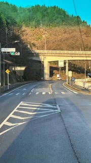 IMG_8336.jpeg