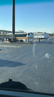 IMG_8341.jpeg