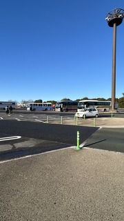 IMG_8344.jpeg
