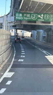 IMG_8355.jpeg