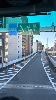 IMG_8356.jpeg