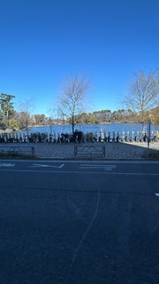 IMG_8359.jpeg