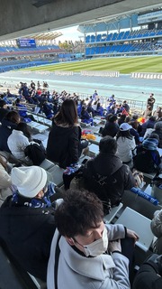IMG_8377.jpeg