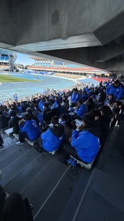 IMG_8378.jpeg