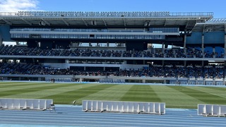 IMG_8382.jpeg