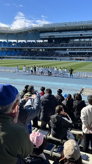 IMG_8383.jpeg