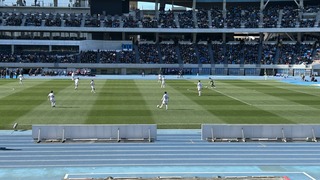IMG_8395.jpeg
