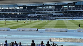 IMG_8397.jpeg