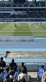 IMG_8402.jpeg