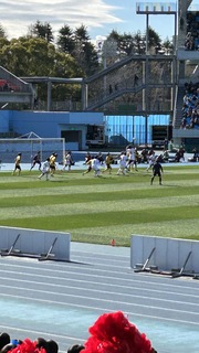 IMG_8417.jpeg