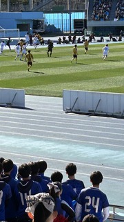 IMG_8425.jpeg