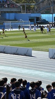 IMG_8426.jpeg