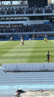 IMG_8430.jpeg