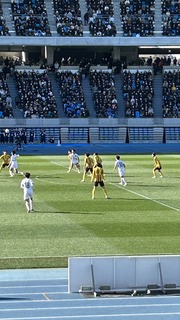 IMG_8431.jpeg