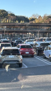 IMG_8448.jpeg