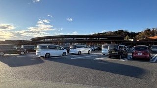 IMG_8450.jpeg