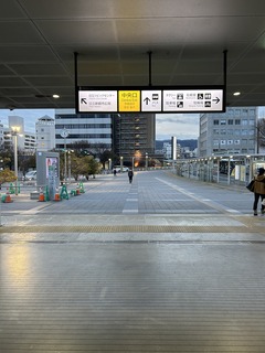 IMG_8536.JPG