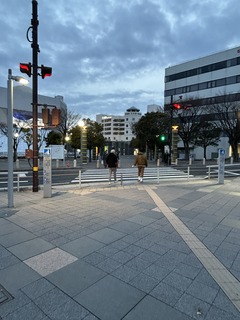 IMG_8539.JPG