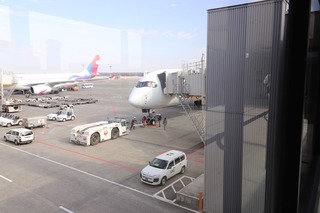 IMG_8736.JPG
