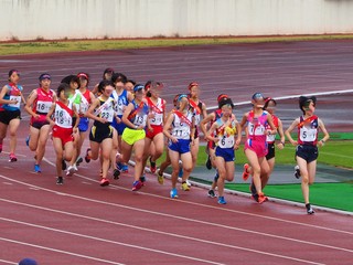 PB030461-1.jpg