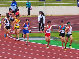PB030569-1.jpg