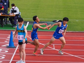 PB030808-1.jpg