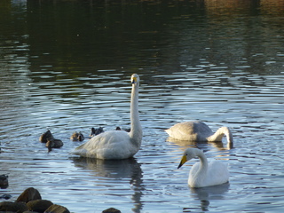 P1020128.JPG