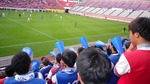 IMGP9066.jpg