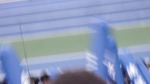IMGP9433.jpg
