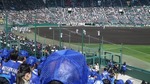 IMGP9598.jpg